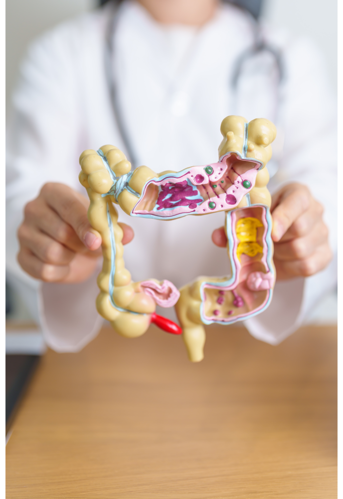 gastroenterology practice